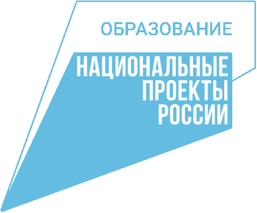 Амбассадор Национальные проекты России
